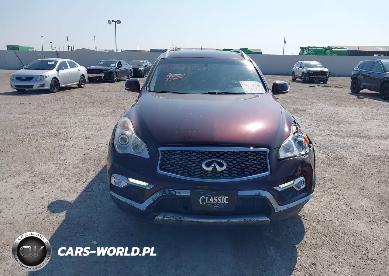 2016 Infiniti Qx50 VIN:JN1BJ0RP1GM232716 - 12