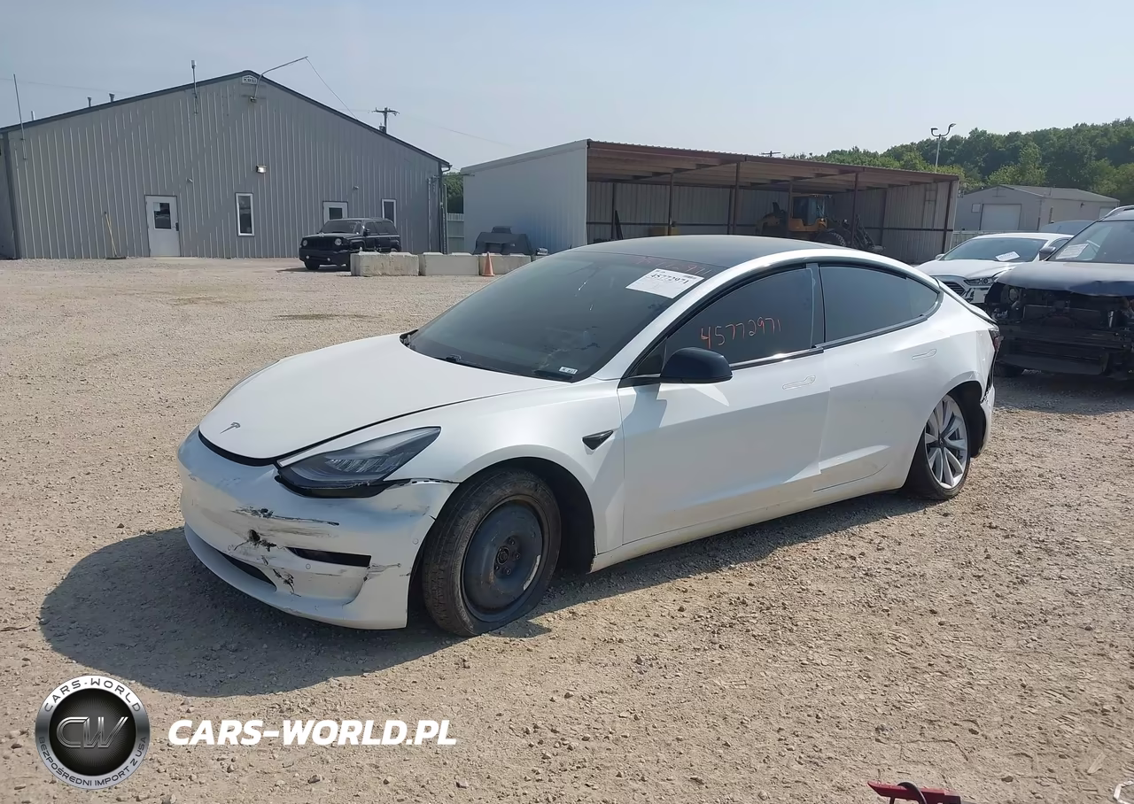 2020 Tesla Model 3 Long Range Dual Motor All-Wheel Drive VIN:5YJ3E1EB2LF646368 - 2
