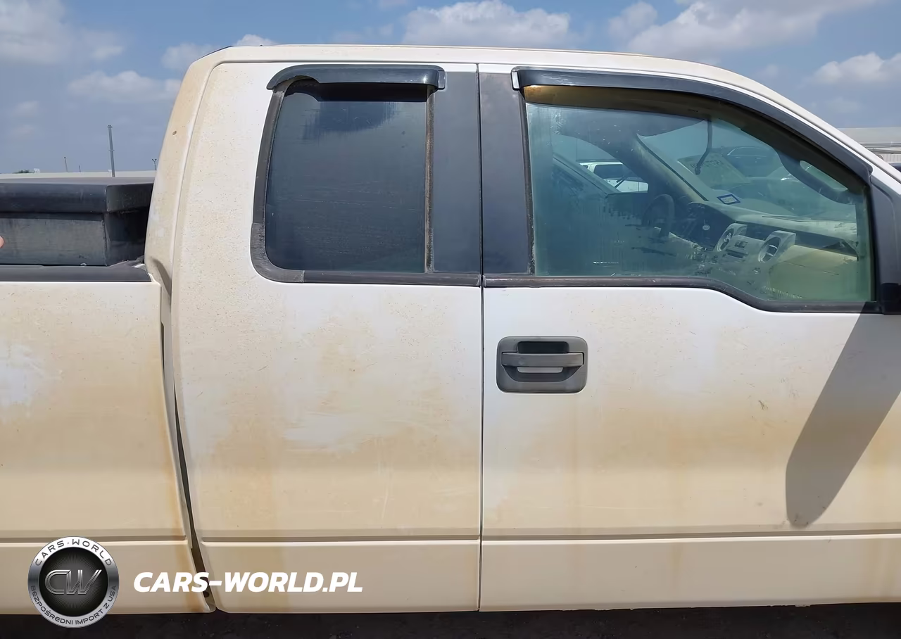 2009 Ford F-150 Stx-Xl VIN:1FTRX14W79KC83568 - 12