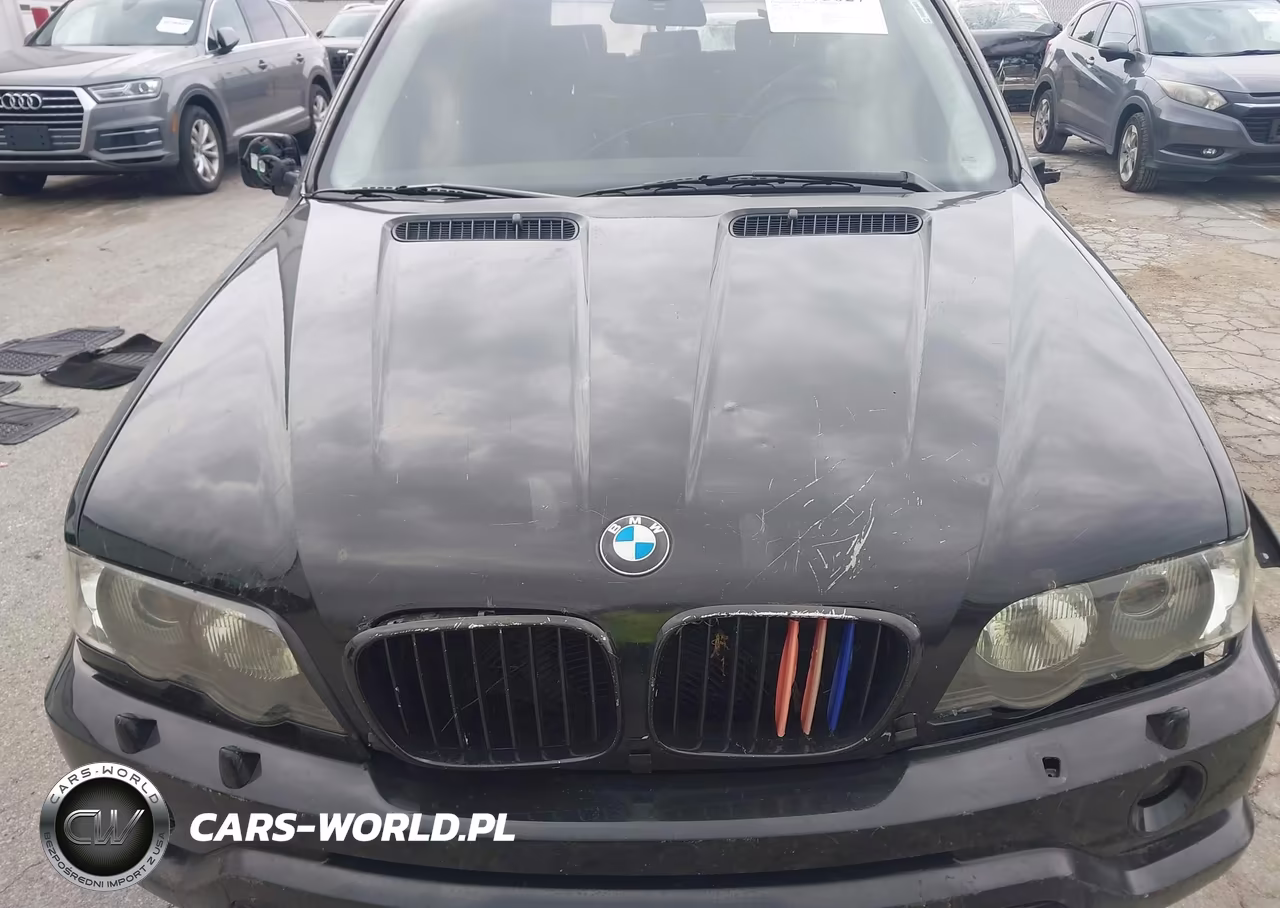 2001 BMW X5 3.0 VIN:WBAFA53501LM89685 - 10