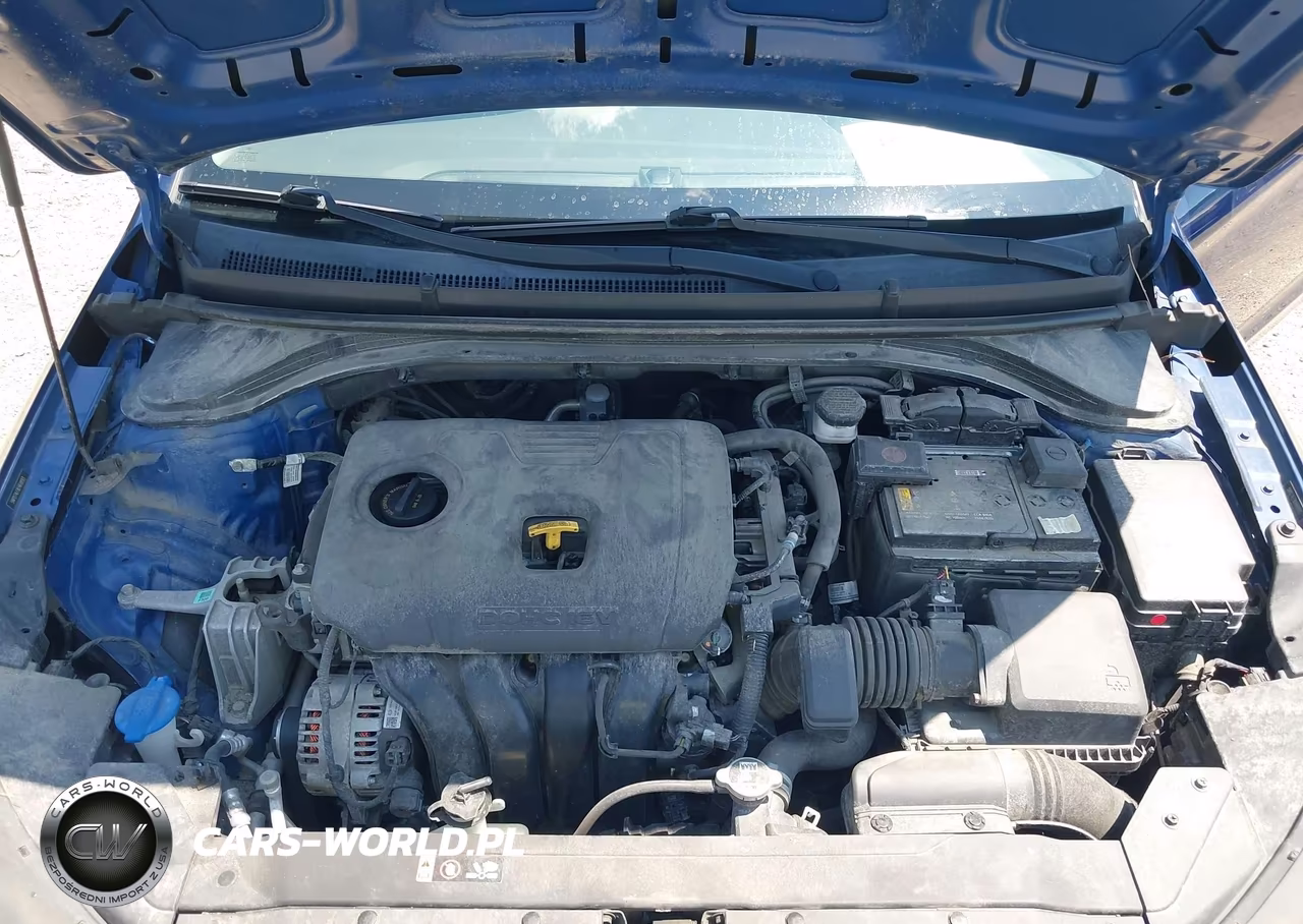 2020 Hyundai Elantra Se VIN:5NPD74LF8LH618193 - 10