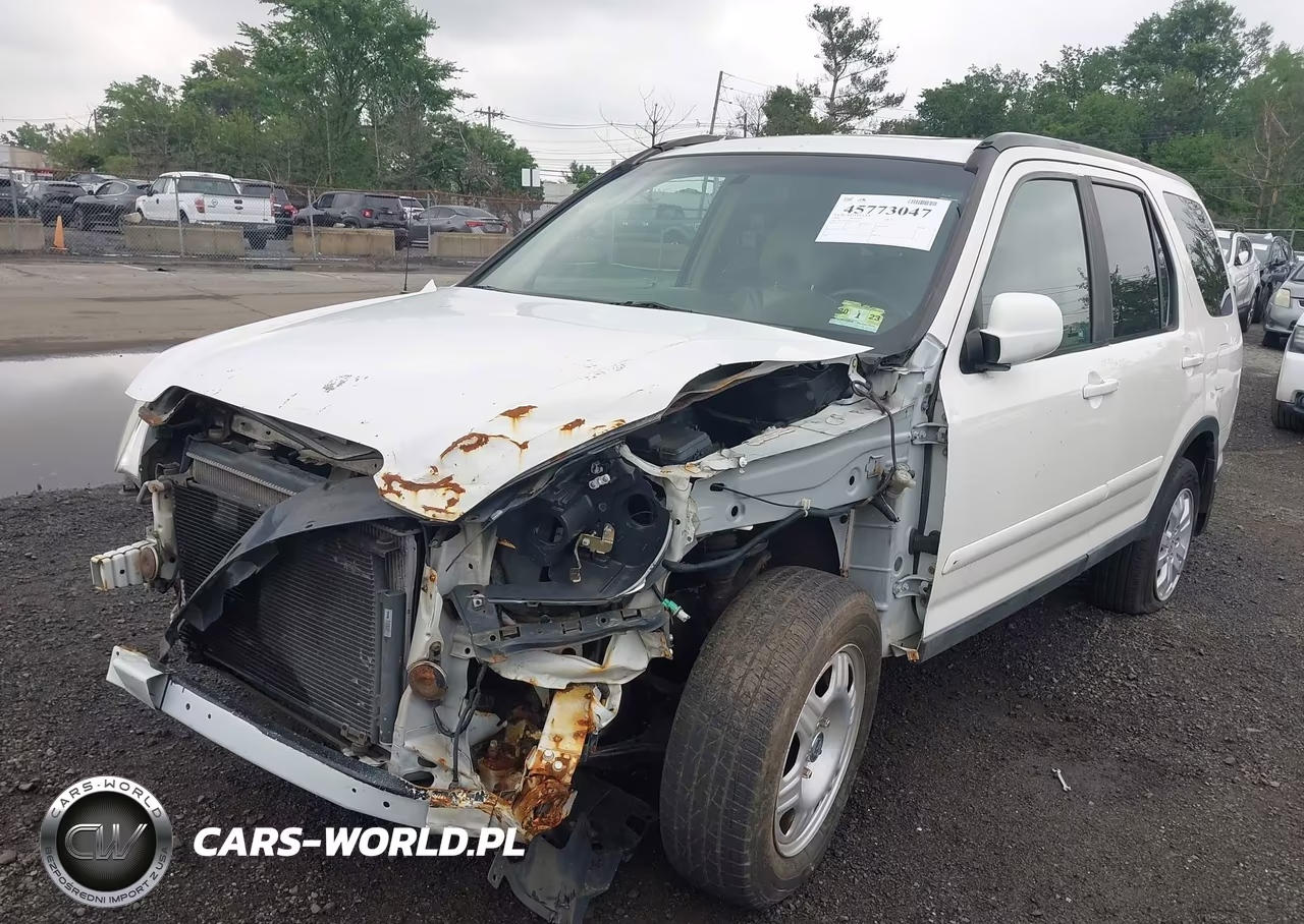 2005 Honda Cr-V Se VIN:JHLRD78965C024352 - 6