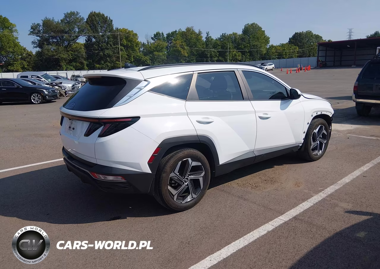 2023 Hyundai Tucson Sel VIN:5NMJF3AE1PH291388 - 4