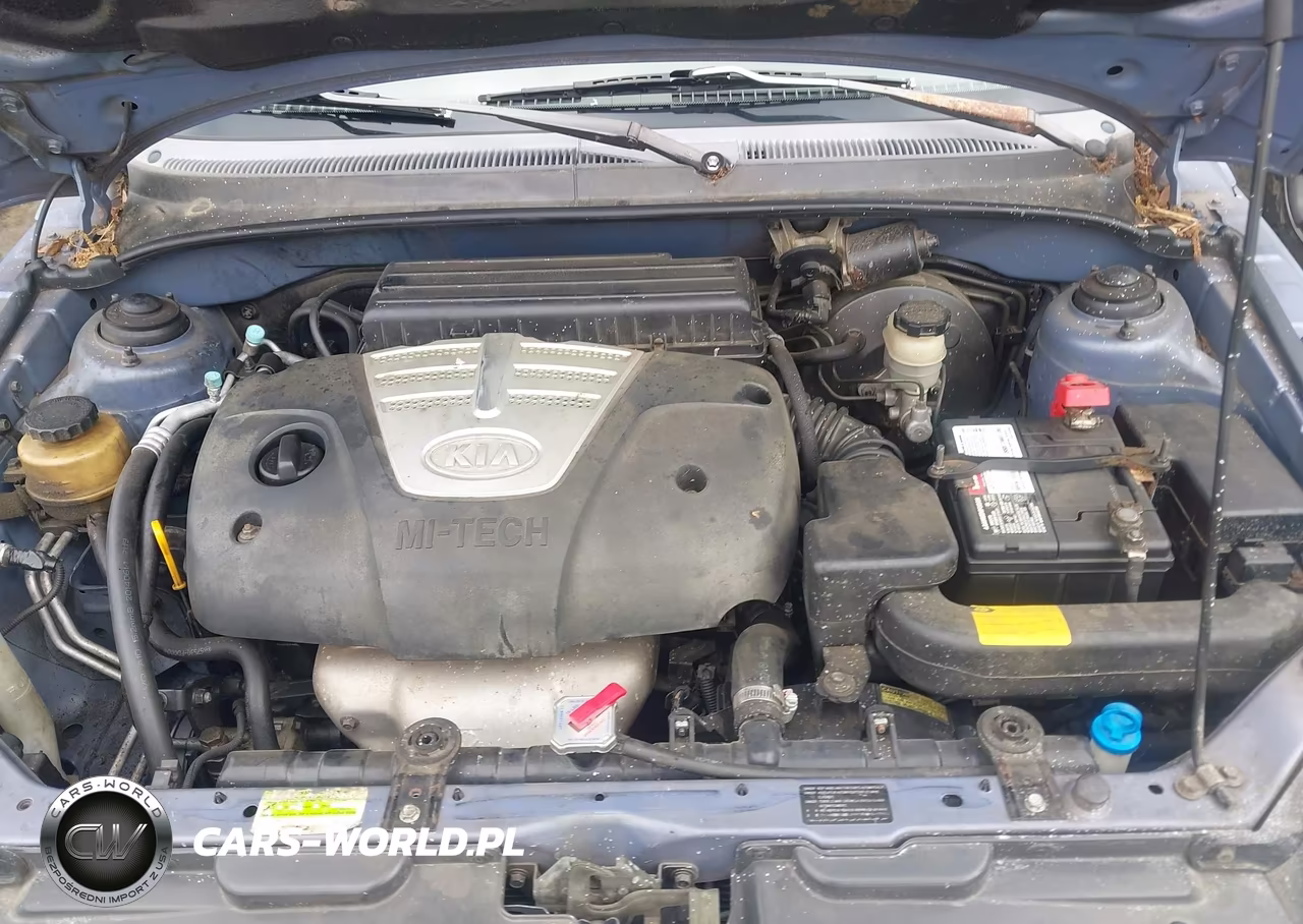 2004 Kia Rio VIN:KNADC125546282885 - 10