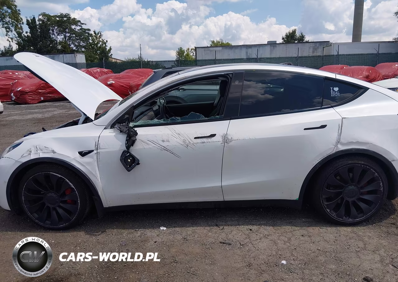2022 Tesla Model Y Performance Dual Motor All-Wheel Drive VIN:7SAYGDEF1NF445491 - 6
