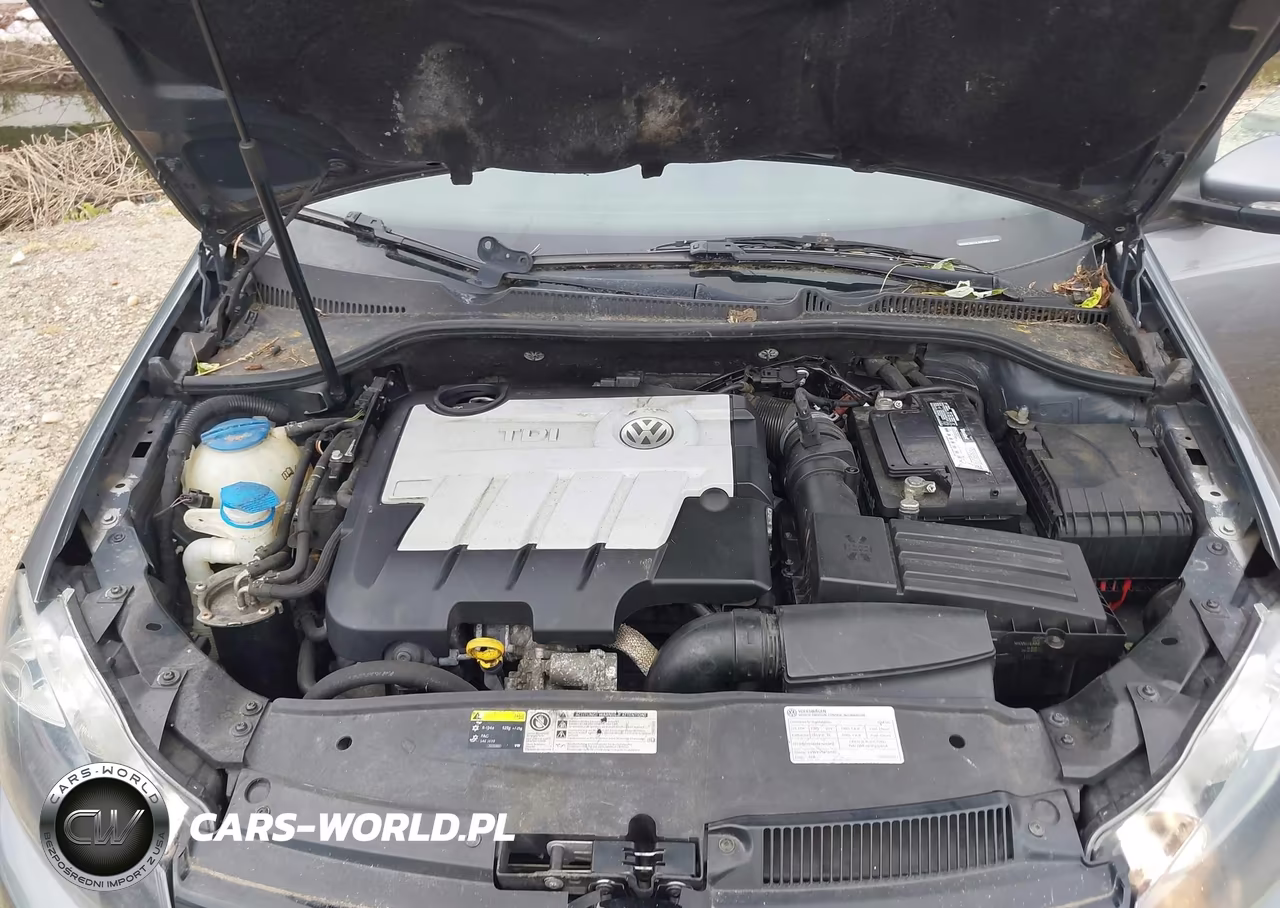 2014 Volkswagen Golf 2.0L Tdi VIN:WVWDM7AJ0EW011400 - 10