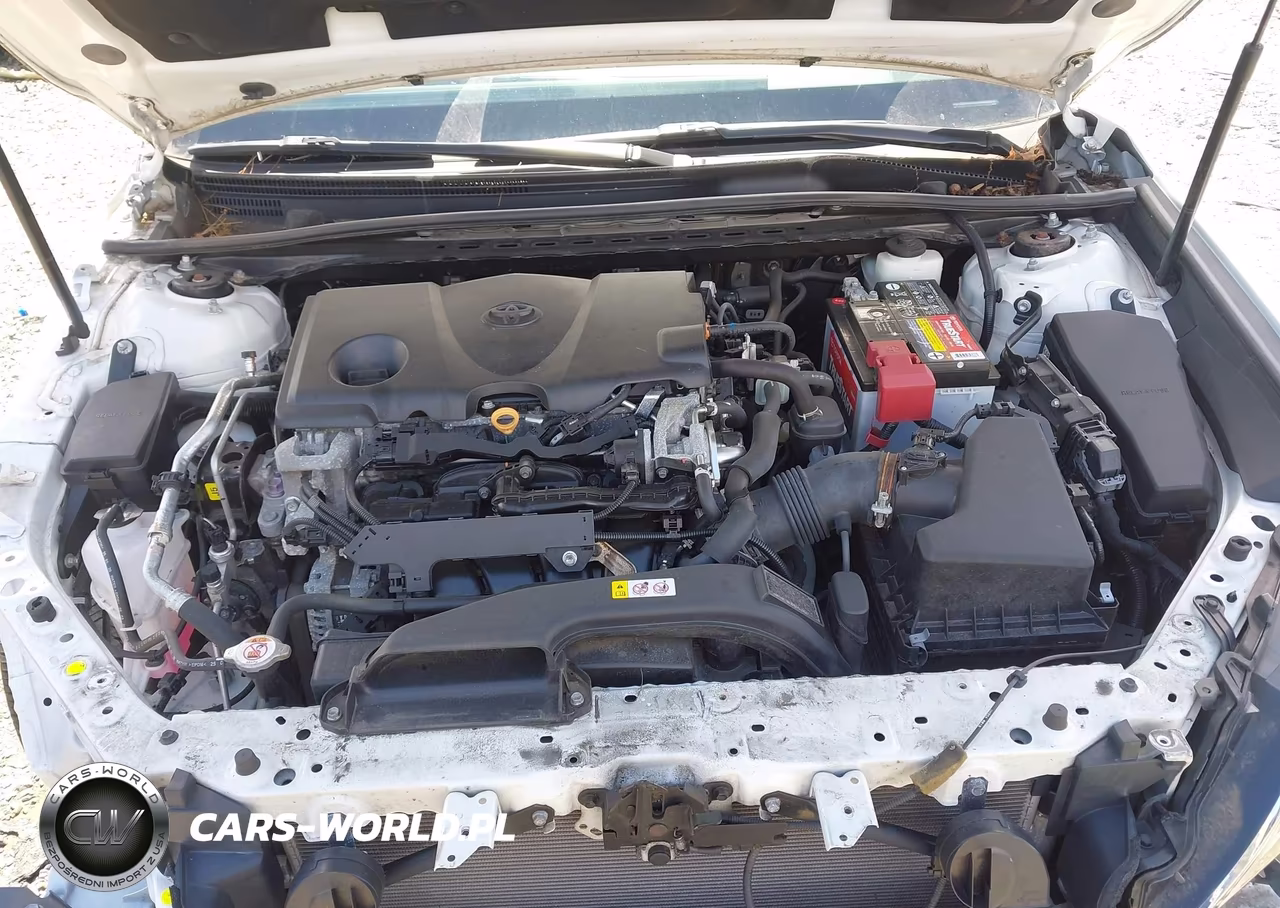 2020 Toyota Camry Xle VIN:4T1F11AK1LU396185 - 10