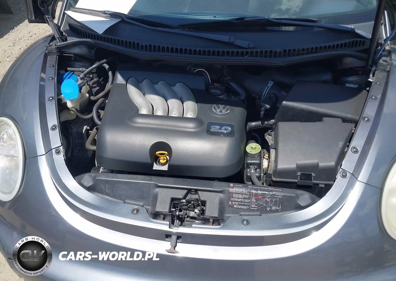 2005 Volkswagen New Beetle Gl VIN:3VWBK31C95M402467 - 10