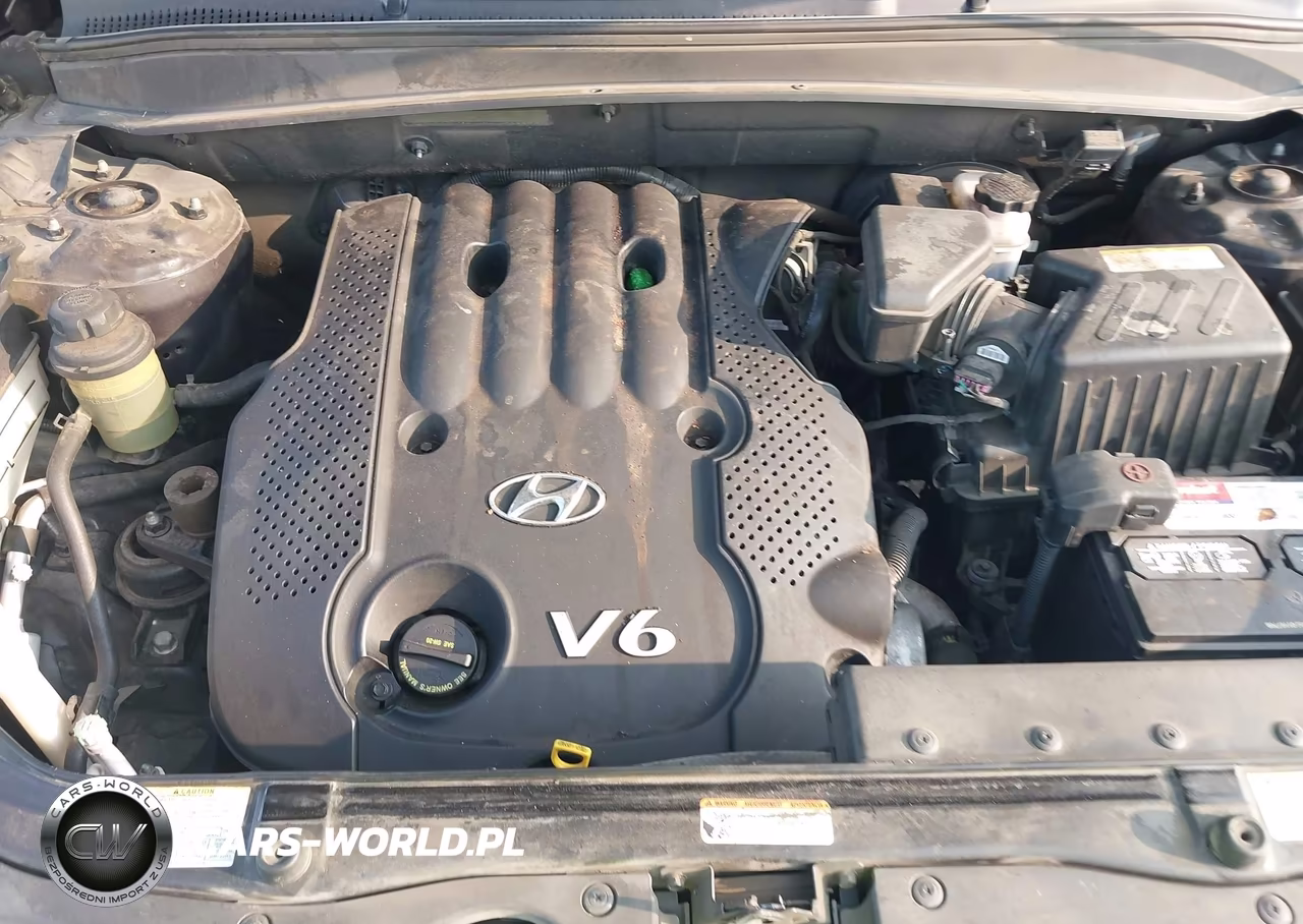 2007 Hyundai Santa Fe Gls VIN:5NMSG13D57H105460 - 10