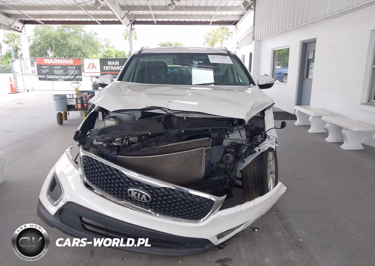 2017 Kia Sorento 2.4L Lx VIN:5XYPG4A39HG219037 - 13