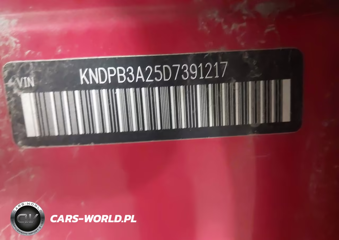 2013 Kia Sportage Lx VIN:KNDPB3A25D7391217 - 9