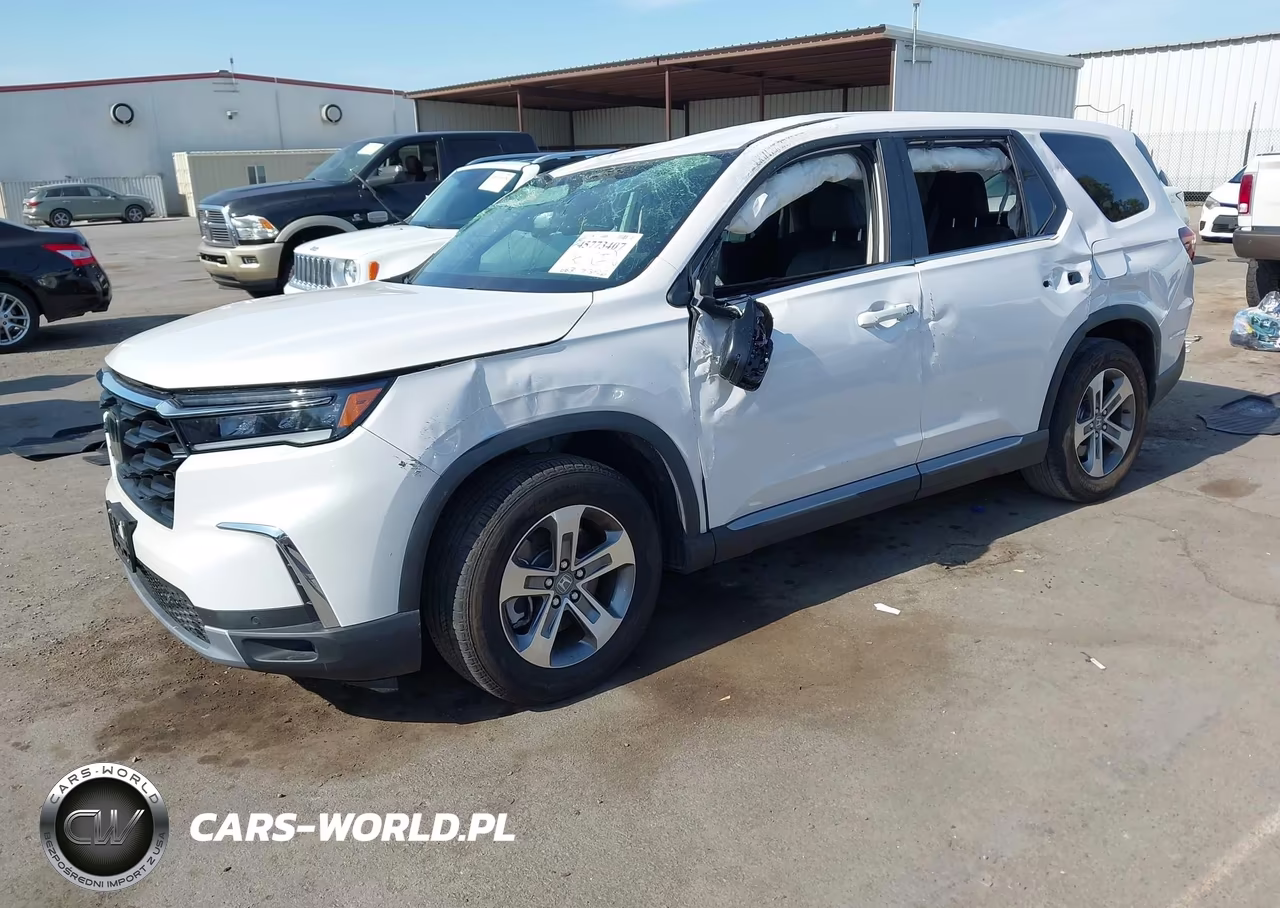 2025 Honda Pilot Ex-L VIN:5FNYG2H45SB028317 - 2