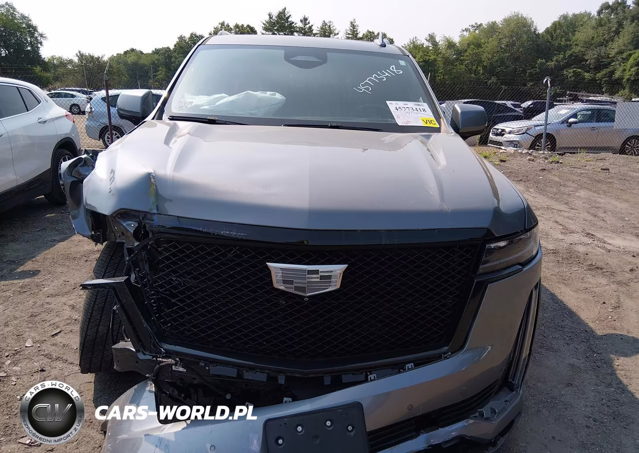 2021 Cadillac Escalade 4Wd Sport Platinum VIN:1GYS4GKL2MR396084 - 12