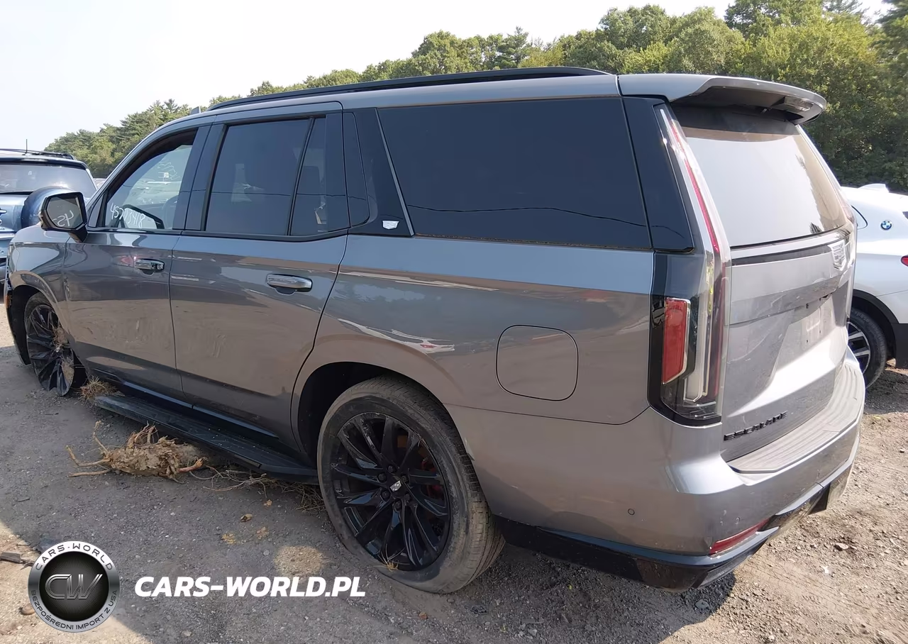 2021 Cadillac Escalade 4Wd Sport Platinum VIN:1GYS4GKL2MR396084 - 3