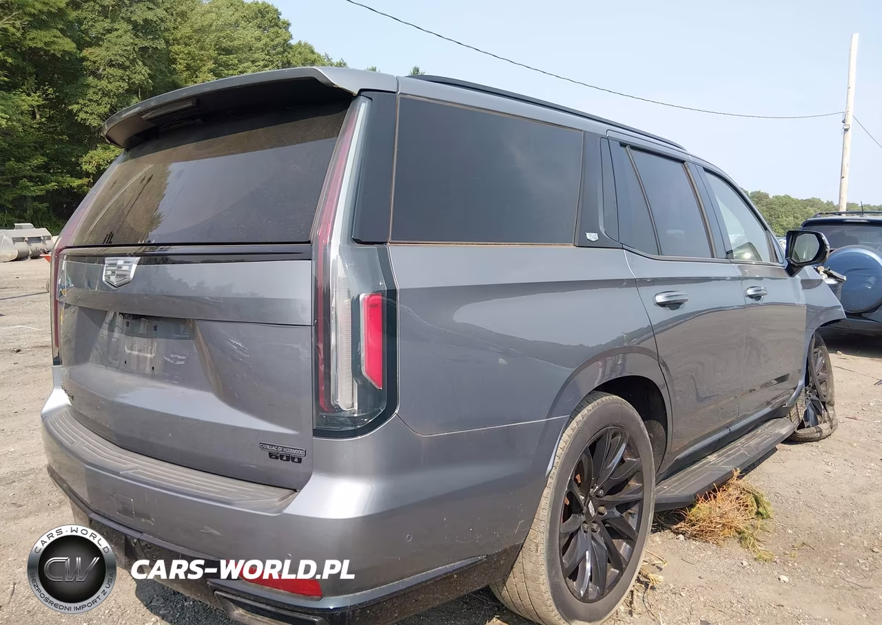 2021 Cadillac Escalade 4Wd Sport Platinum VIN:1GYS4GKL2MR396084 - 4