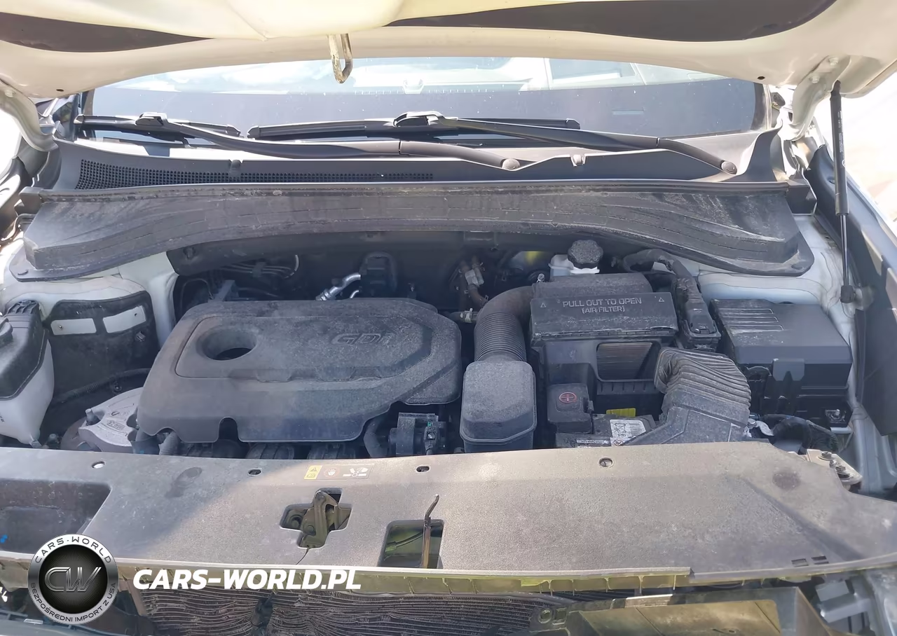 2019 Hyundai Santa Fe Ultimate VIN:5NMS5CAD8KH134402 - 10