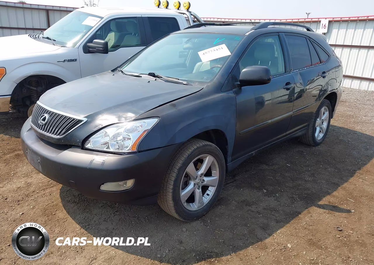 2004 Lexus Rx 330 VIN:JTJGA31U240036788 - 2