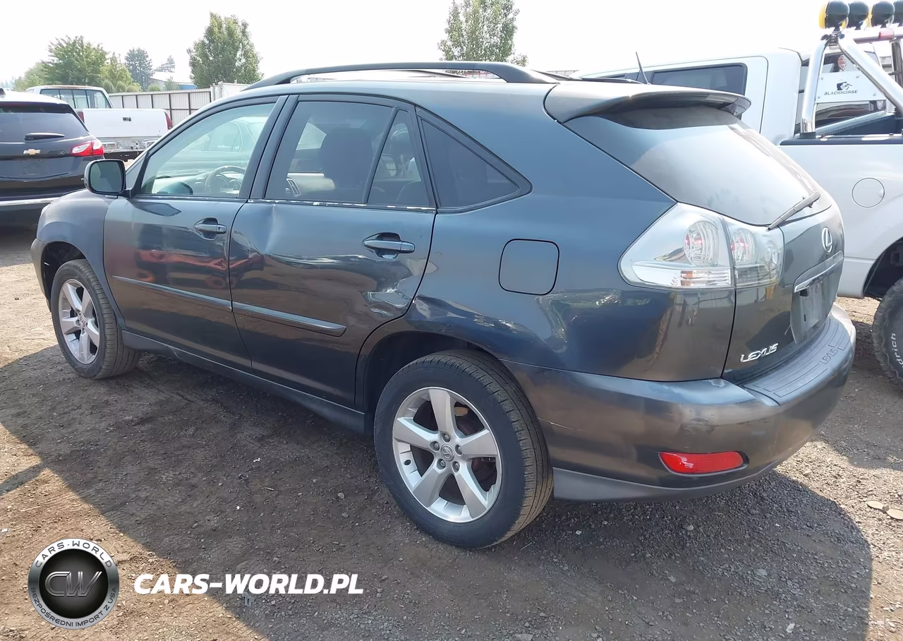 2004 Lexus Rx 330 VIN:JTJGA31U240036788 - 3