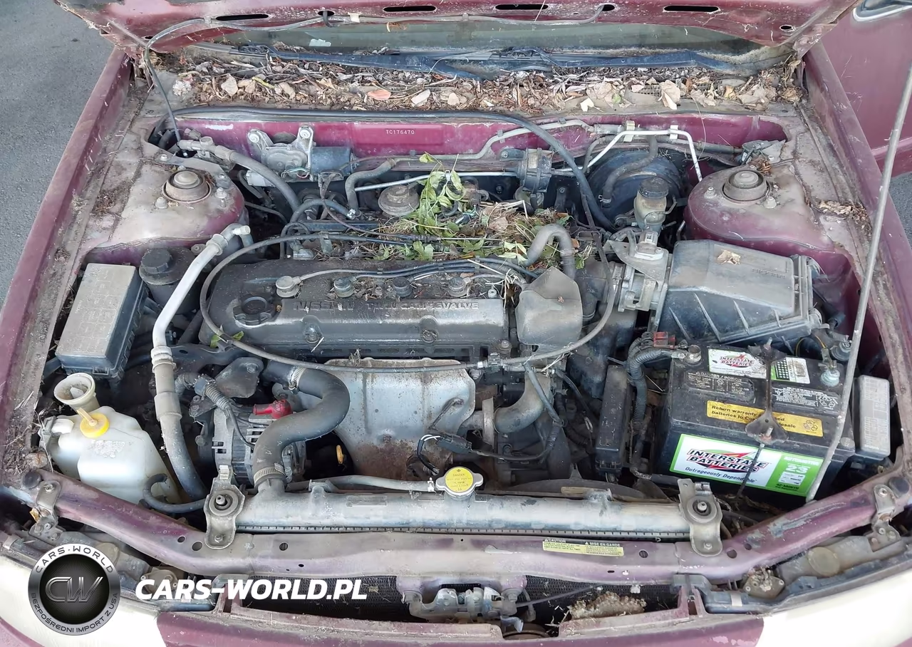 1996 Nissan Altima Xe-Gxe-Se-Gle VIN:1N4BU31D3TC176470 - 10