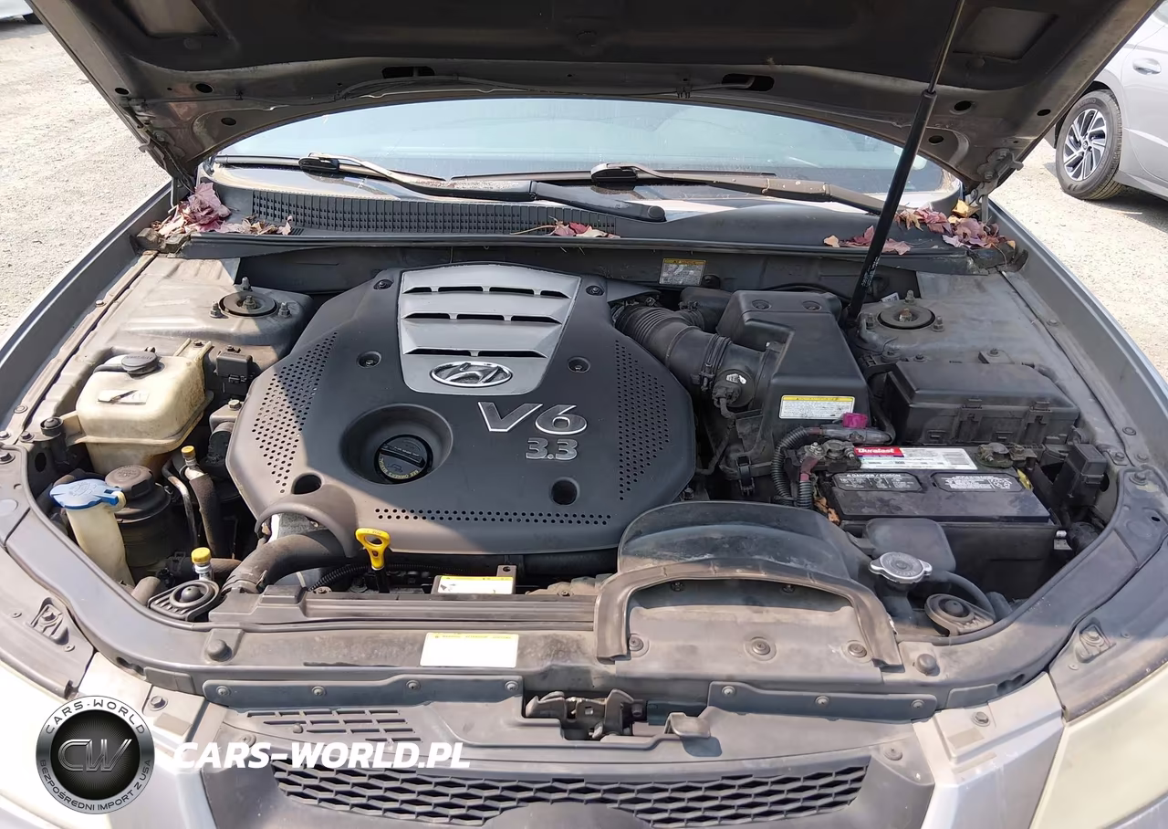 2006 Hyundai Sonata Gls V6-Lx V6 VIN:5NPEU46F76H023526 - 10
