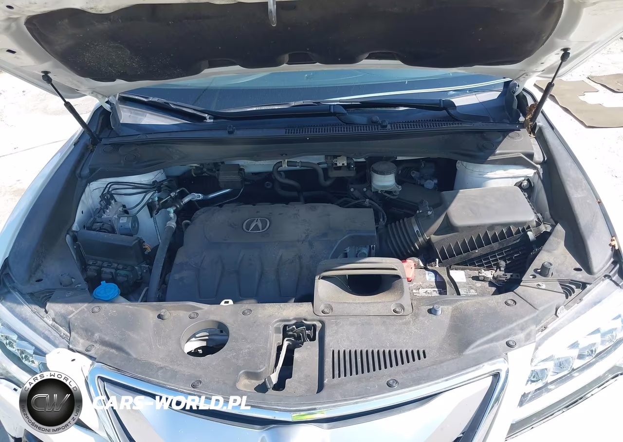 2017 Acura Rdx Acurawatch Plus Package VIN:5J8TB3H39HL004034 - 10