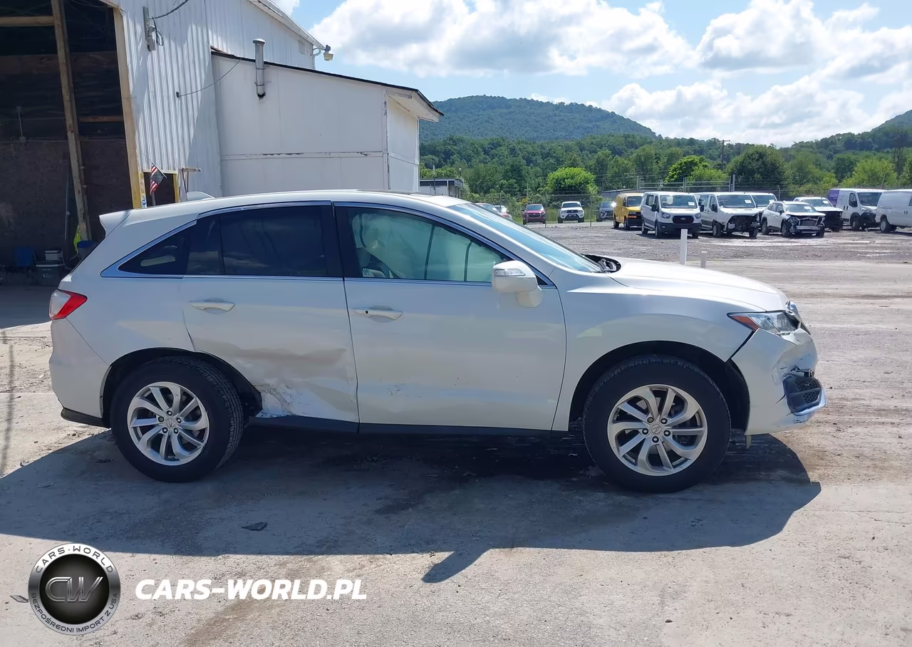 2017 Acura Rdx Acurawatch Plus Package VIN:5J8TB3H39HL004034 - 13