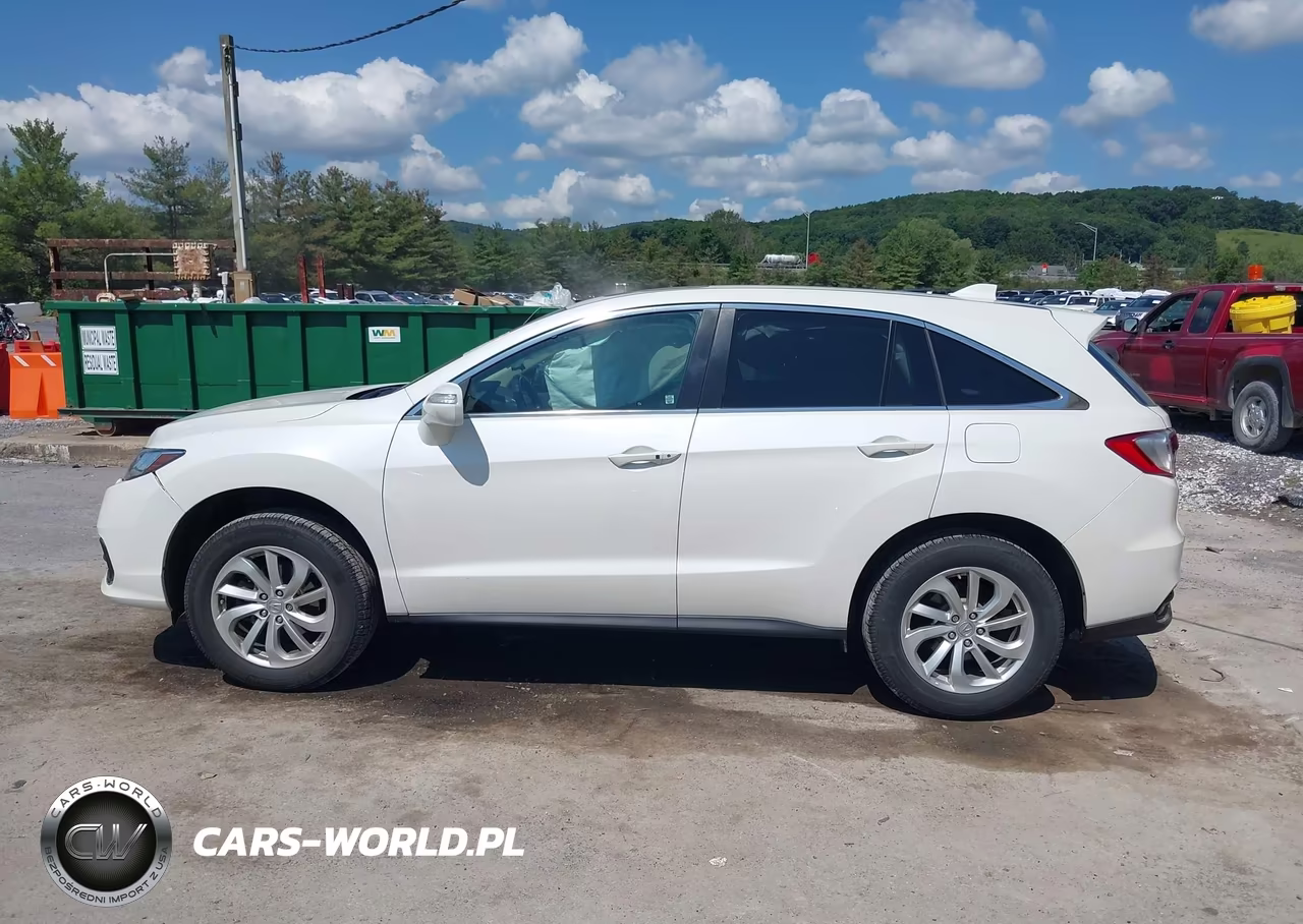 2017 Acura Rdx Acurawatch Plus Package VIN:5J8TB3H39HL004034 - 14