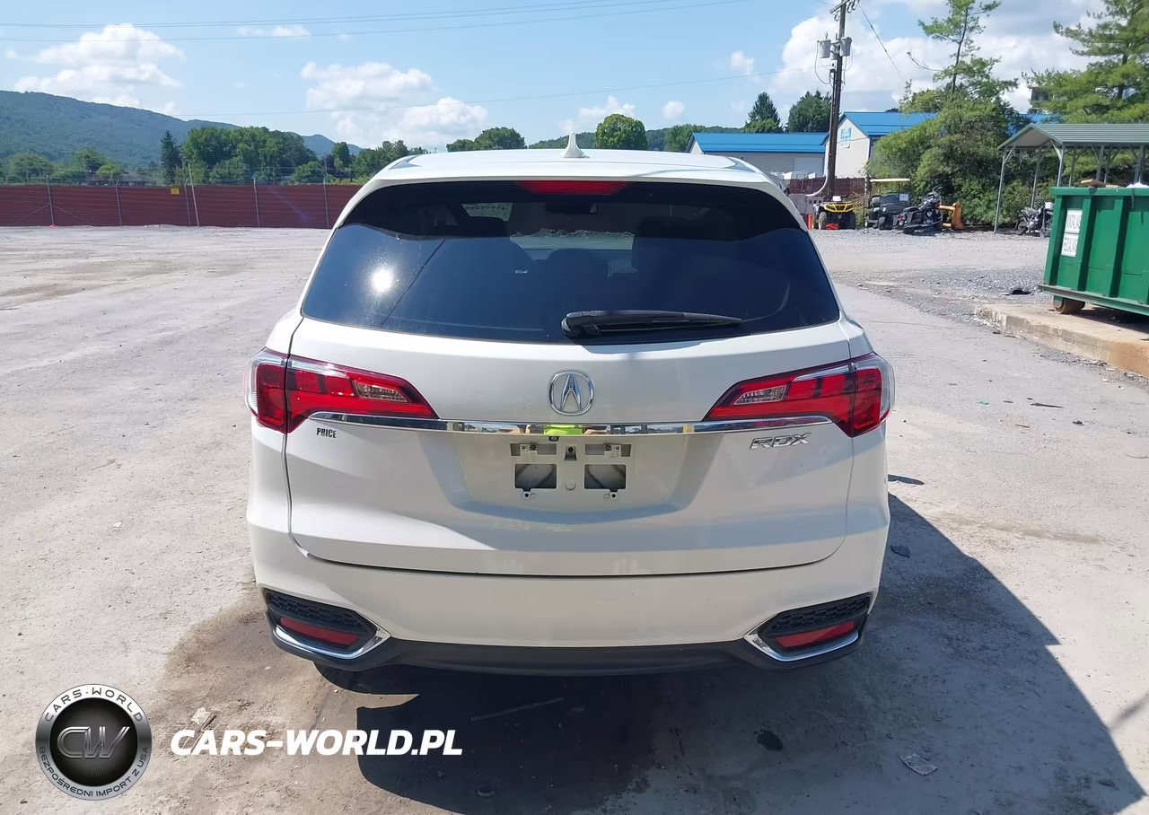 2017 Acura Rdx Acurawatch Plus Package VIN:5J8TB3H39HL004034 - 16