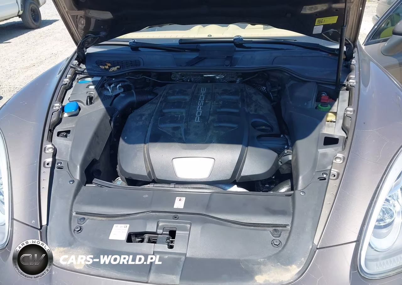 2014 Porsche Cayenne Diesel-Diesel Platinum Edition VIN:WP1AF2A27ELA32088 - 10