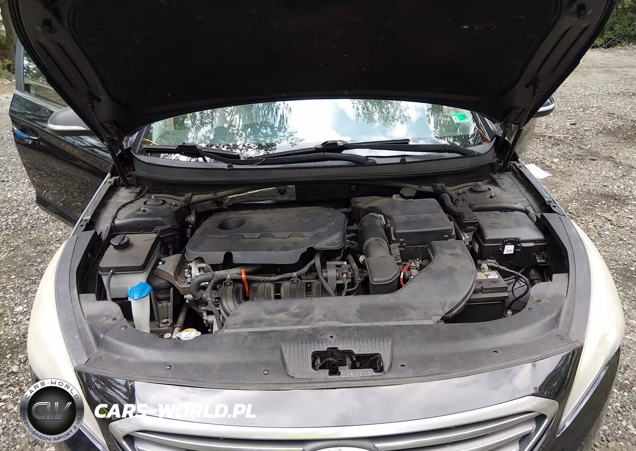 2015 Hyundai Sonata Sport VIN:5NPE34AF0FH117273 - 10