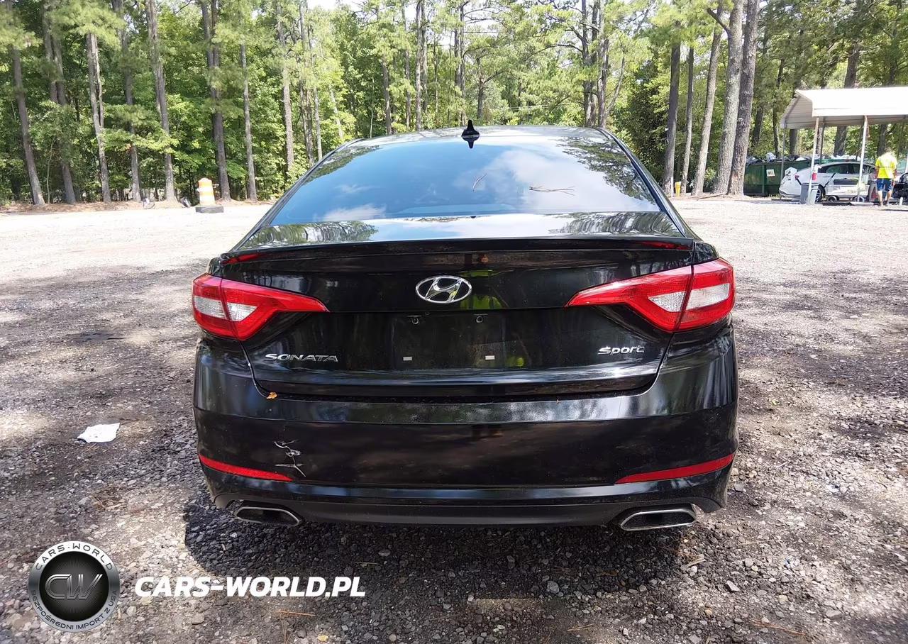 2015 Hyundai Sonata Sport VIN:5NPE34AF0FH117273 - 16