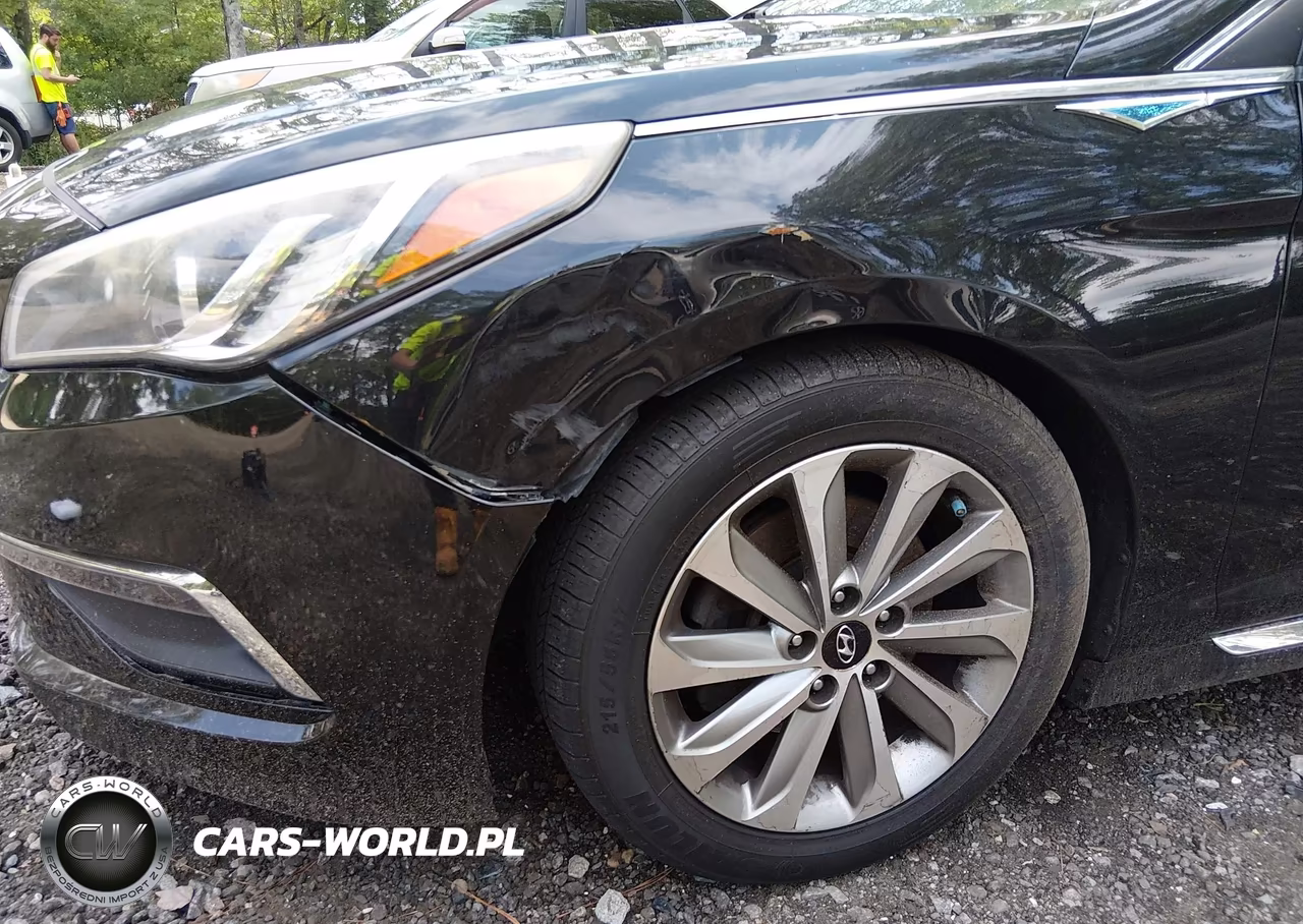 2015 Hyundai Sonata Sport VIN:5NPE34AF0FH117273 - 6