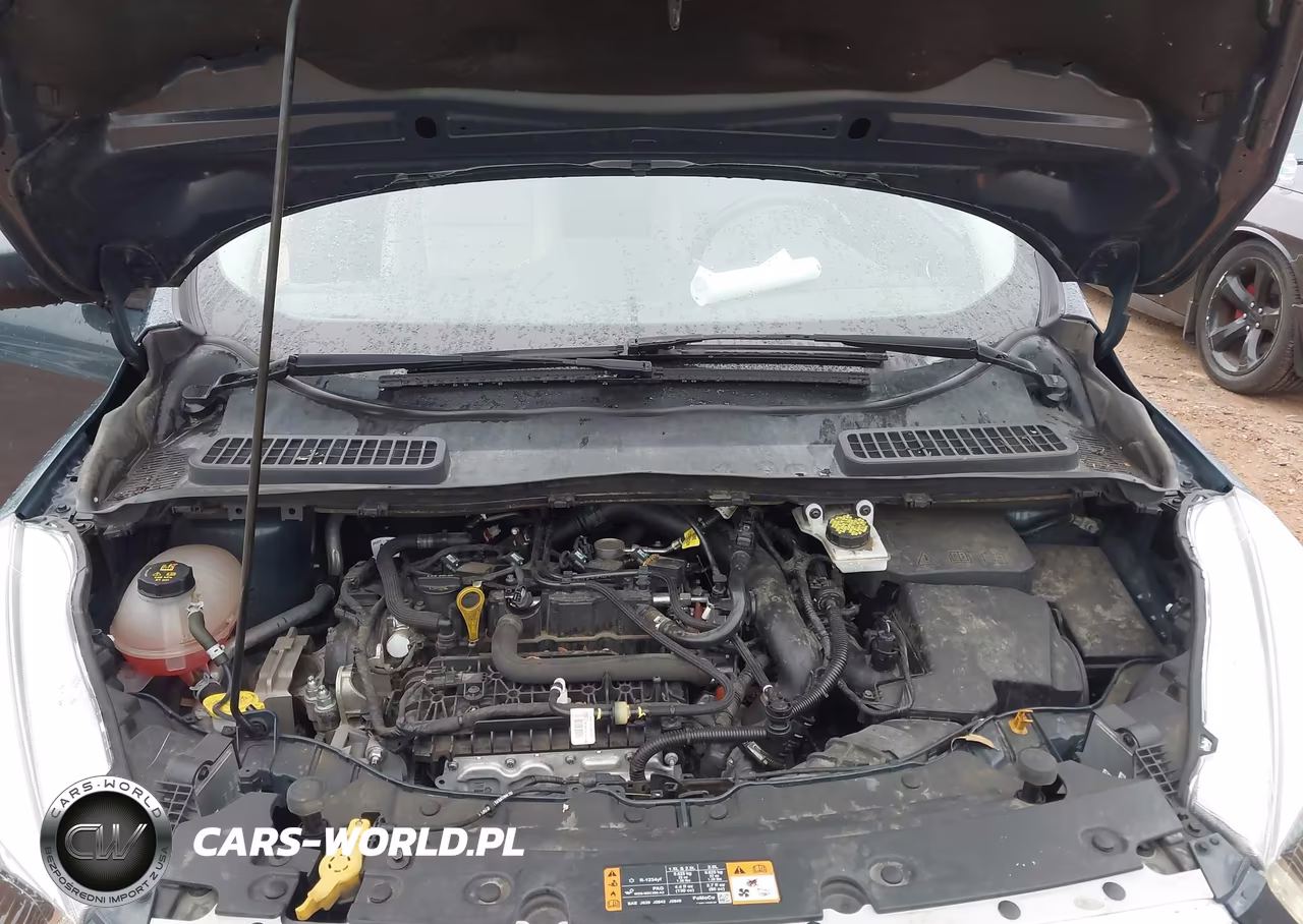 2019 Ford Escape Sel VIN:1FMCU0HD0KUA11242 - 10