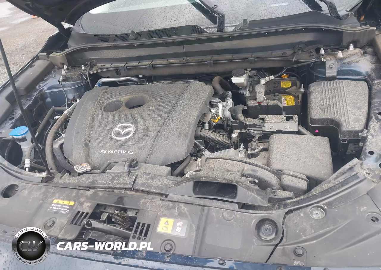 2022 Mazda Cx-5 2.5 S Premium Plus VIN:JM3KFBEM8N0611035 - 10