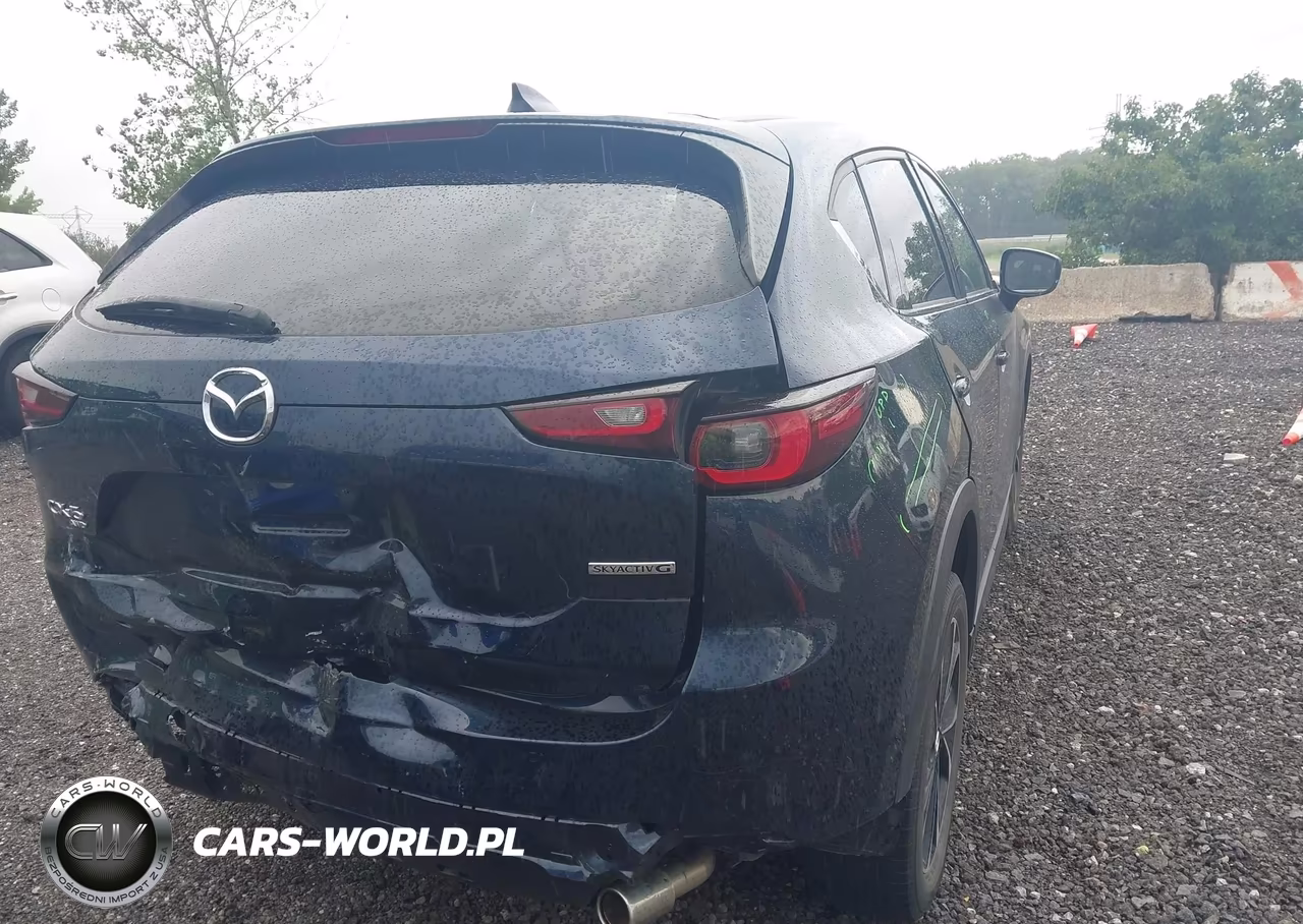 2022 Mazda Cx-5 2.5 S Premium Plus VIN:JM3KFBEM8N0611035 - 16