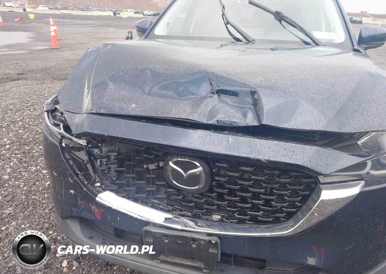 2022 Mazda Cx-5 2.5 S Premium Plus VIN:JM3KFBEM8N0611035 - 6
