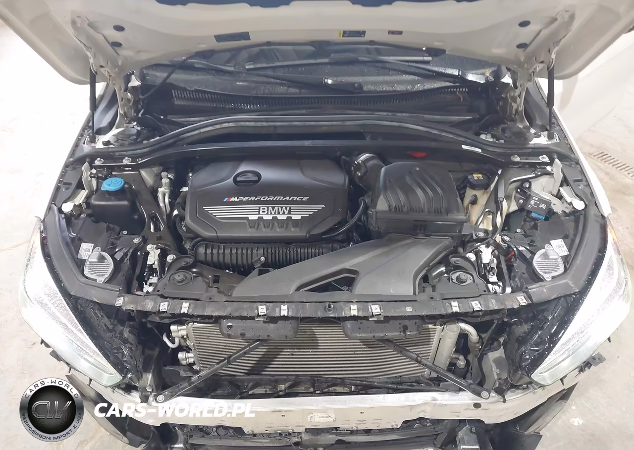 2020 BMW M235I Gran Coupe xDrive VIN:WBA13AL02L7F58067 - 10