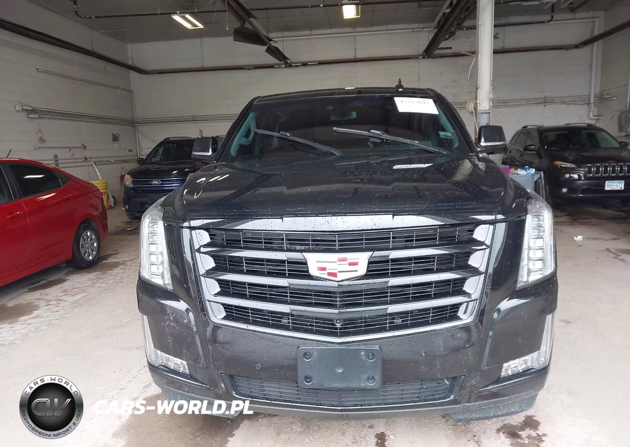 2019 Cadillac Escalade Esv Luxury VIN:1GYS4HKJ5KR332008 - 12