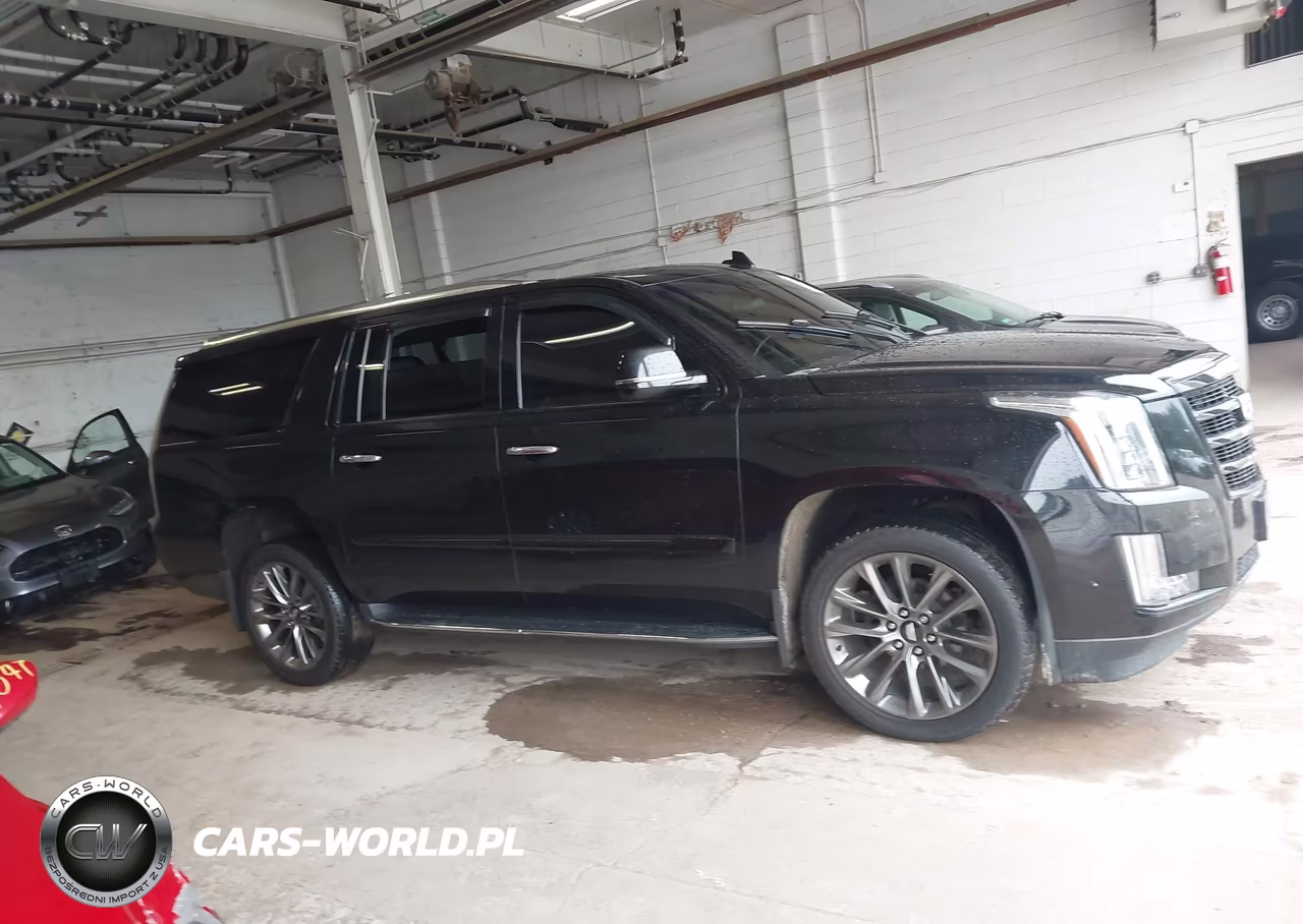 2019 Cadillac Escalade Esv Luxury VIN:1GYS4HKJ5KR332008 - 13