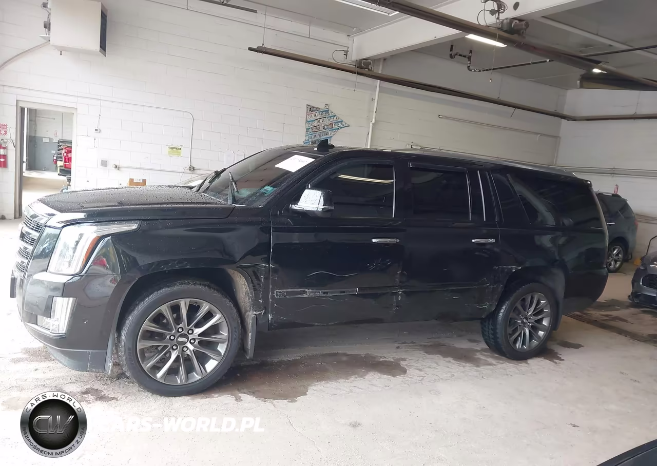 2019 Cadillac Escalade Esv Luxury VIN:1GYS4HKJ5KR332008 - 14