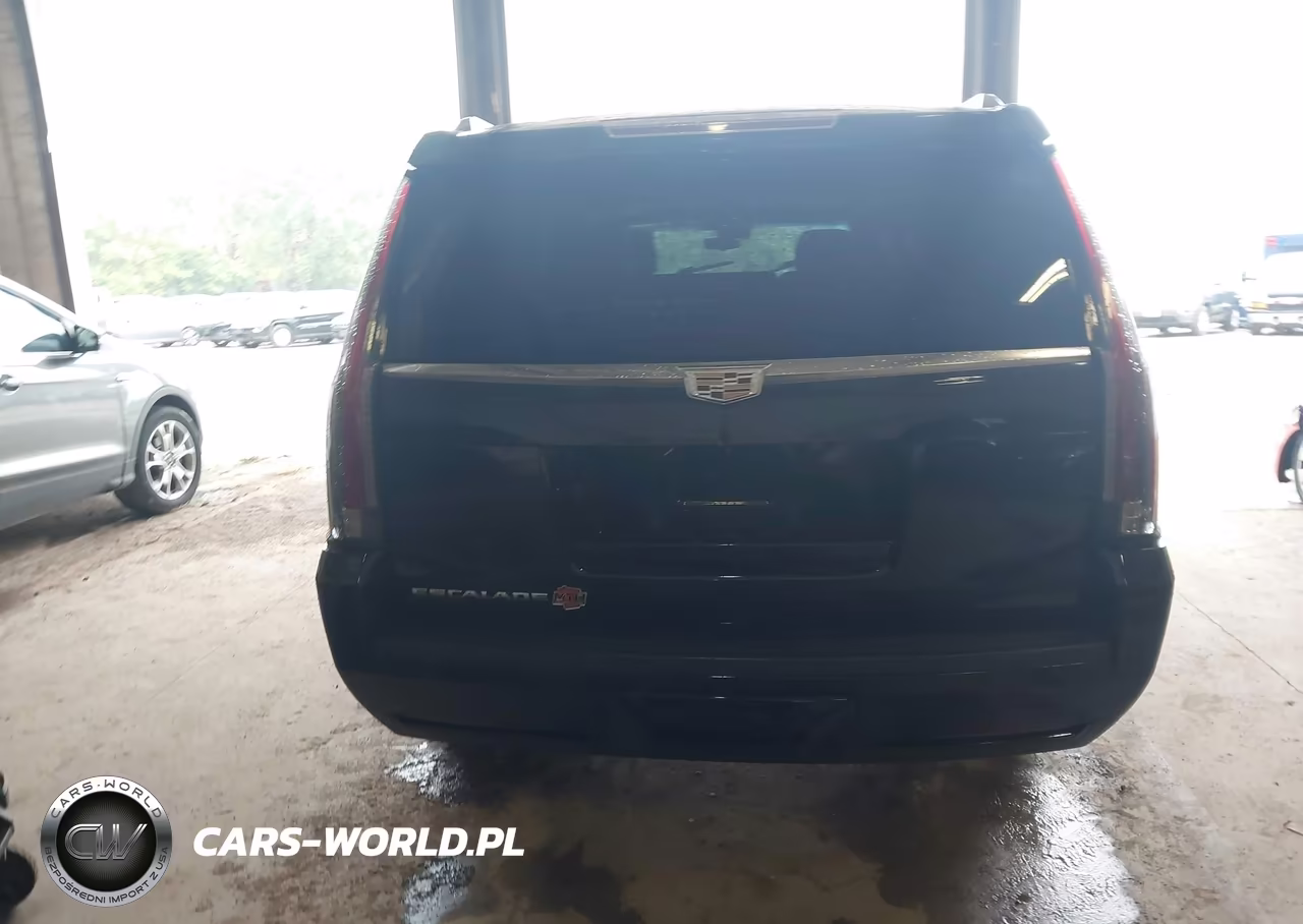 2019 Cadillac Escalade Esv Luxury VIN:1GYS4HKJ5KR332008 - 16