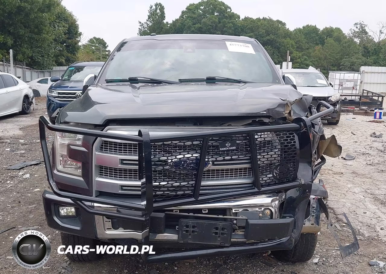 2016 Ford F-150 Platinum VIN:1FTEW1EG2GFC25429 - 12