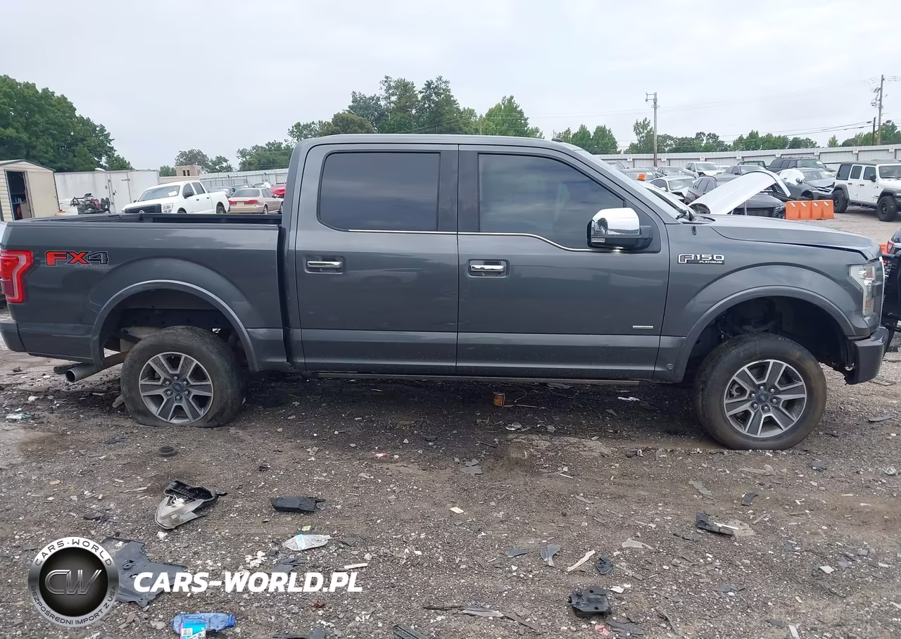 2016 Ford F-150 Platinum VIN:1FTEW1EG2GFC25429 - 13