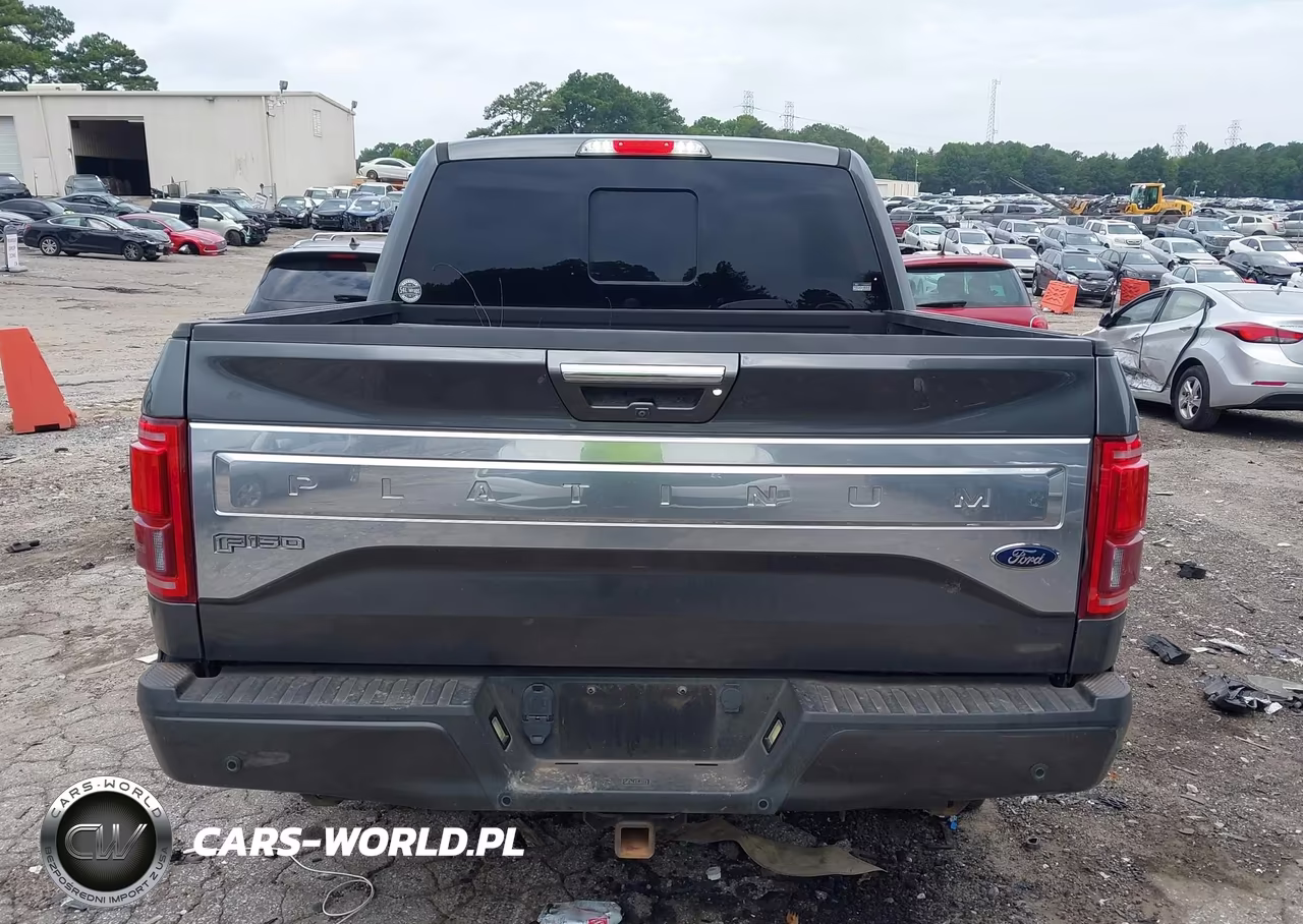 2016 Ford F-150 Platinum VIN:1FTEW1EG2GFC25429 - 16