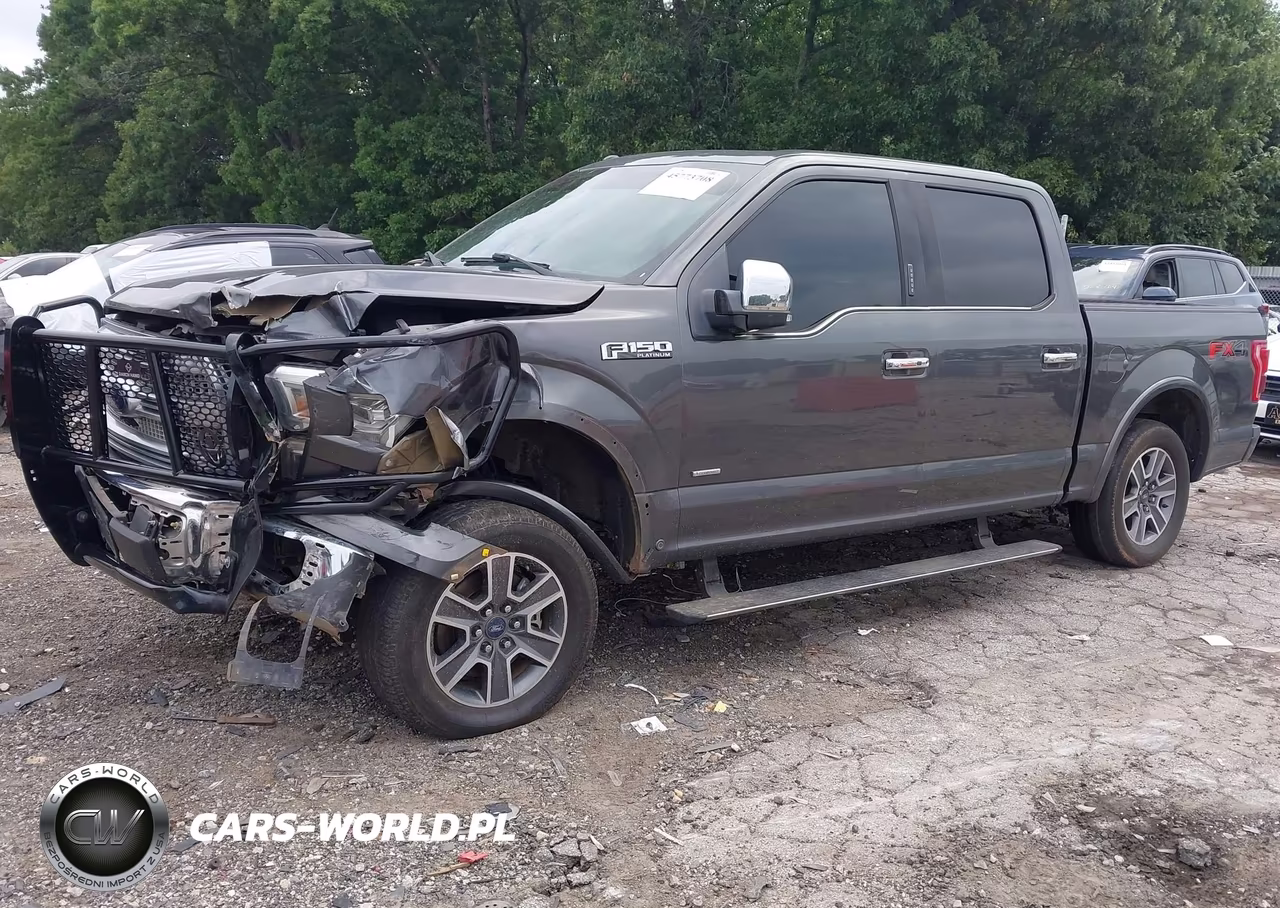 2016 Ford F-150 Platinum VIN:1FTEW1EG2GFC25429 - 17