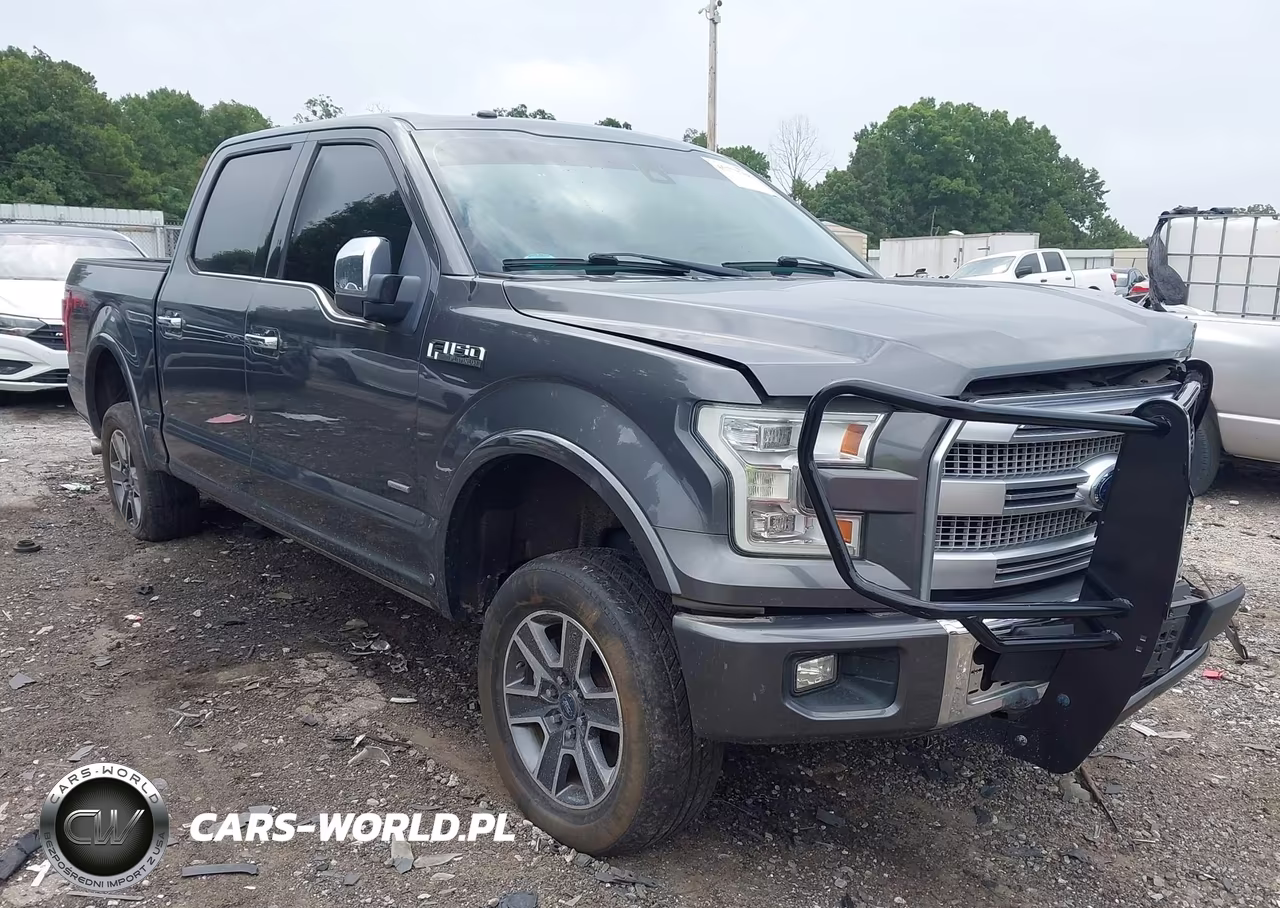 2016 Ford F-150 Platinum VIN:1FTEW1EG2GFC25429 - 18