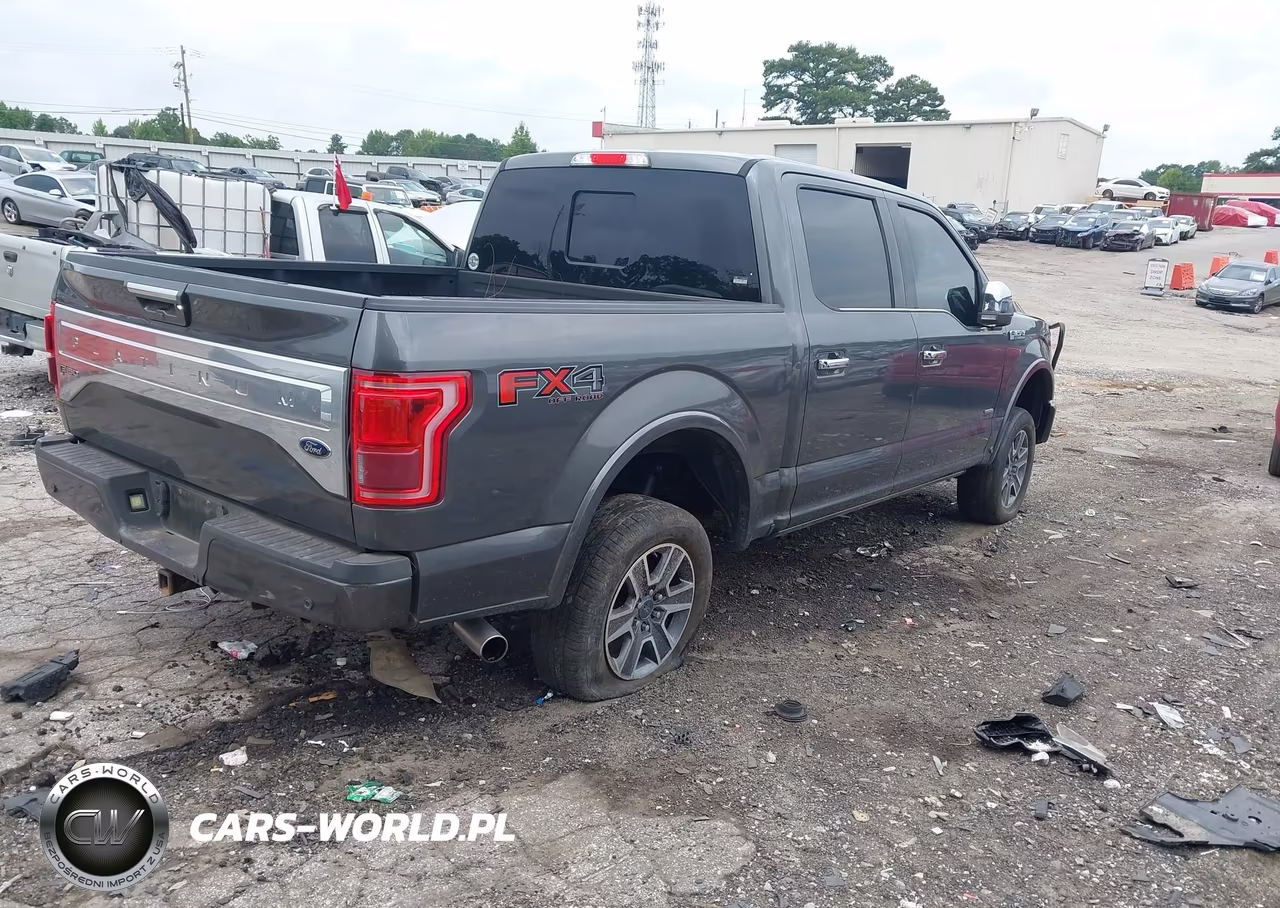 2016 Ford F-150 Platinum VIN:1FTEW1EG2GFC25429 - 4