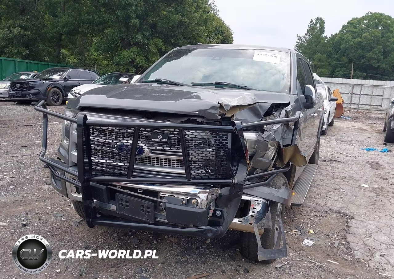 2016 Ford F-150 Platinum VIN:1FTEW1EG2GFC25429 - 6