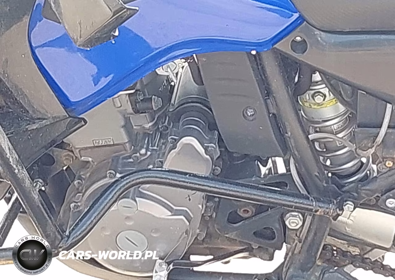 2009 Kawasaki Kl650 E VIN:JKAKLEE119DA22946 - 9