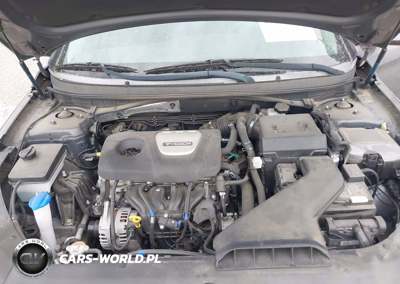 2019 Hyundai Sonata Eco VIN:5NPE24AA0KH801130 - 10